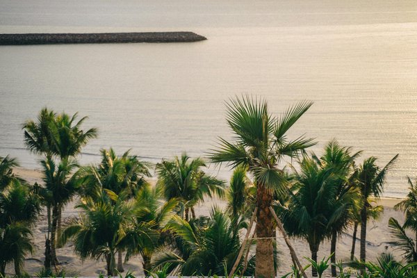 Retraite romantique : vivez un week-end campagnard en mode camping à la ferme